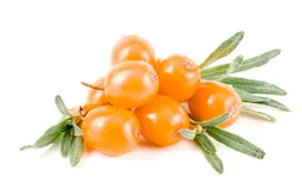 Astelpajumarjad, IQF, külmutatud, 1kg