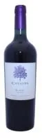 BODEGA ATAMISQUE, Vein Catalpa Malbec, punane kuiv,14,5% 0,75 L R20/150006/24