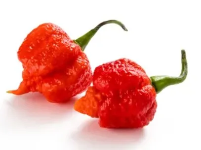 Carolina Reaper pipar, punane, KG