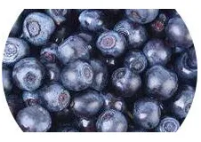 EESTIMOOS, Mustikamoos tervete marjadega, 3 kg