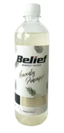 Energiavesi BELIEF, ananassi maitseline, 530ml, PET
