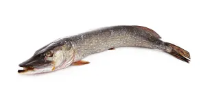 FR Haug, terve, soomusega, jahutatud, ~1,7kg