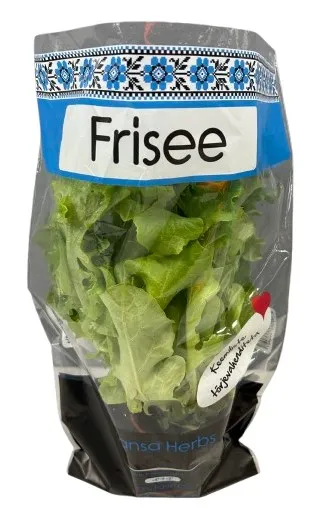 Frisee potis Hansa Herbs, TK
