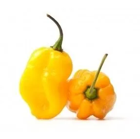 Pipari dzeltenie, asie HABANERO, 2.šķ., kg