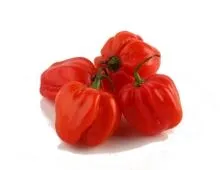 Pipari sarkanie, asie HABANERO, 2.šķ. kg.