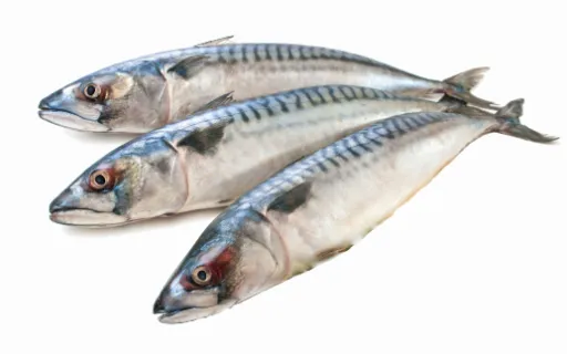 Harilik makrell, peaga, külmutatud, 400-600, ~1 kg