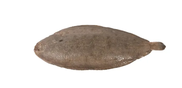 Harilik merikeel, terve, nahaga, roogitud, 250-300g, 30% glasuur, IQF, külmutatud, 10kg