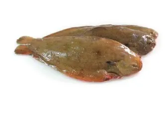 Harilik merikeel, terve, nahaga, roogitud, 400-500g, 30% glasuur, IQF, külmutatud, 10kg