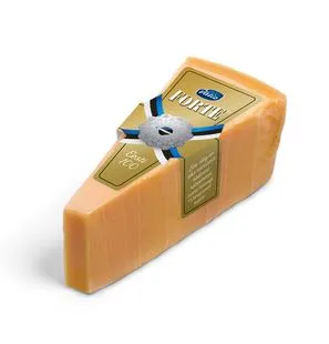 Juust Forte Classico Valio 500g