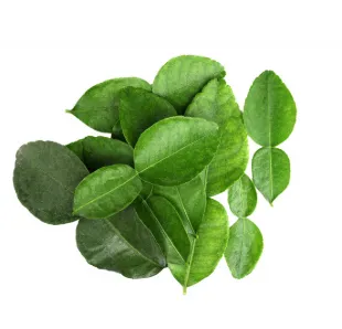 Kaffiri laimi lehed HERBAFROST IQF, külmutatud, 3kg