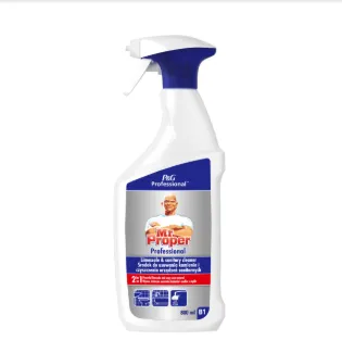 Katlakivieemaldusvahend MR. PROPER Professional, 800ml