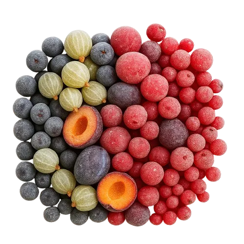 Saldēts kompota sezonas maisījums TANDEMUS, bez kauliņiem, 2.5kg