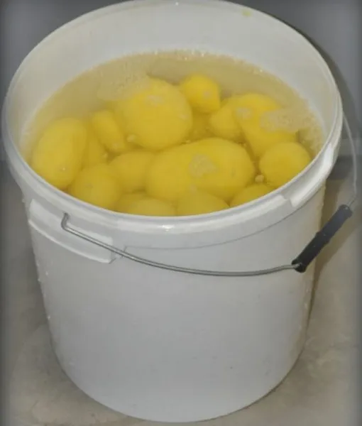 Kooritud kartul vees, ämbris, 10 kg