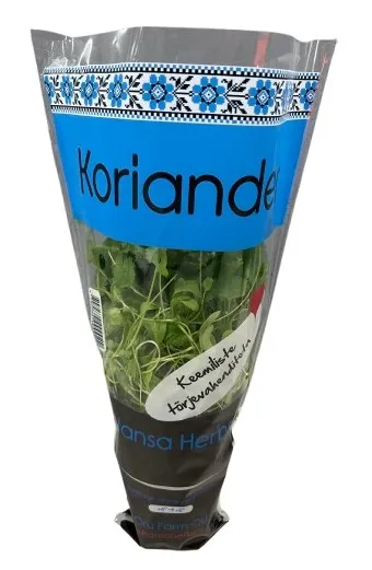 Koriander potis Hansa Herbs, TK