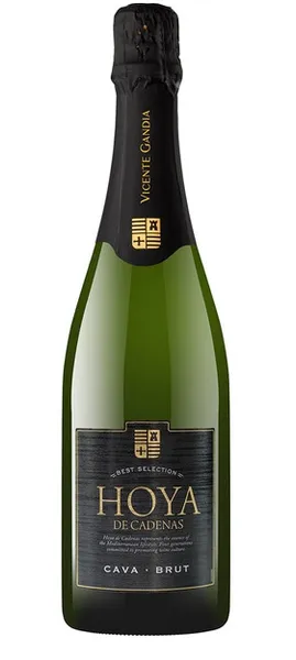 KPN kvaliteetvahuvein Hoya De Cadenas Cava Brut Blanco 11,5%vol 0,75L,R17/119255/71