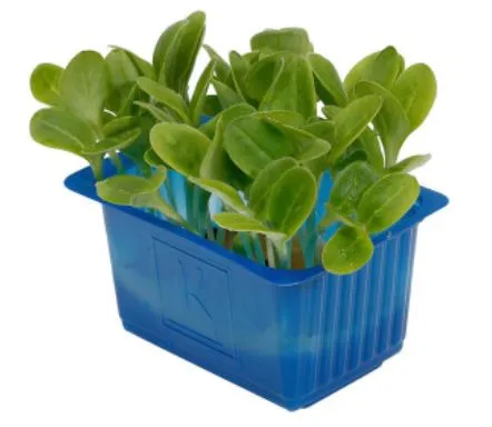 Kreses BORAGE, gurķu asni, gab