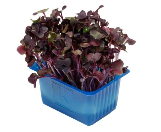 Kreses Herbal SAKURA MIX, gab