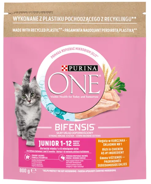 Kuiv kassitoit ONE  junior kana/täistera  800g