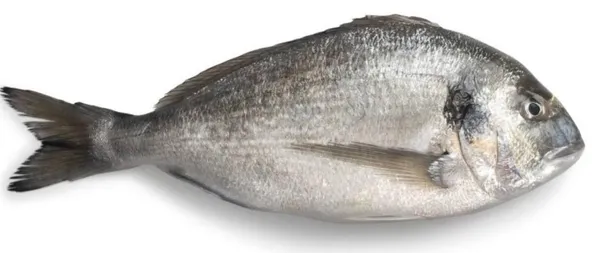 Kuld-merikoger, peaga, glasuur, roogitud, 300-400g, külmutatud, ~1kg