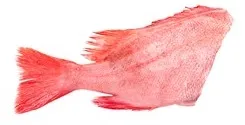 Kuldne meriahven, peata, roogitud, 500-700g, 10% glasuur, külmutatud, ~1kg