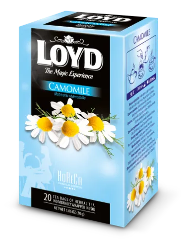 Kummelitee LOYD Horeca 20 x 1.5g, kahekambriline teekott ümbrikus