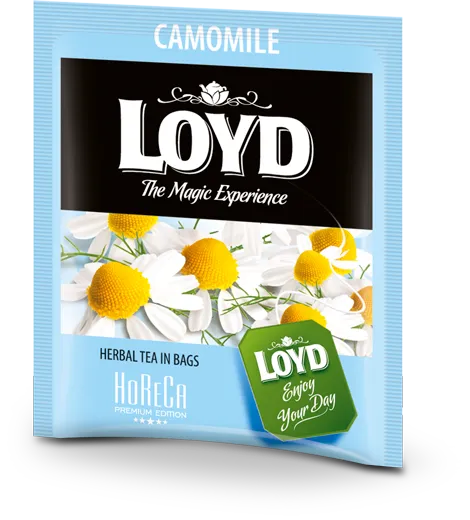 Kummelitee LOYD Horeca 500 x 1.5g, kahekambriline teekott ümbrikus
