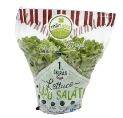 Lehtsalat, potis, TK