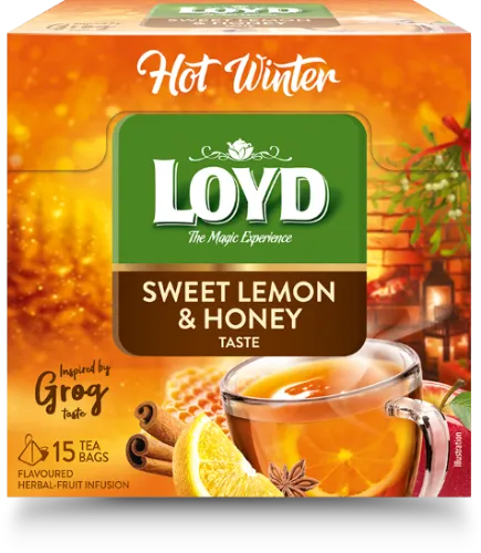 LOYD Puuviljamaitseline tee, Hot Winter, Sidruni ja meega , 15 x 3 g, püramiid kotis