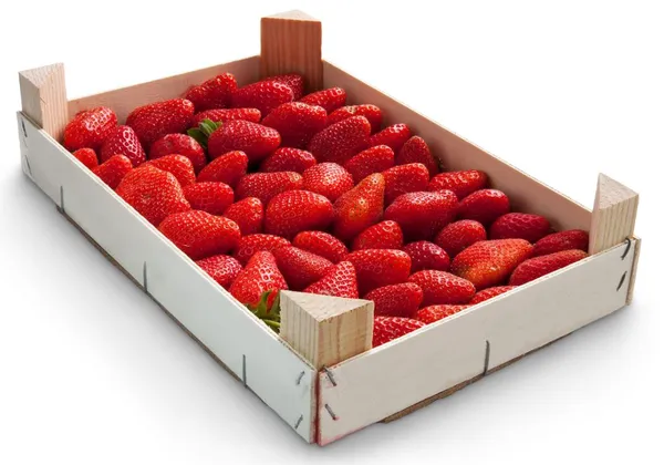 Maasikas, I klass, 1kg, TK