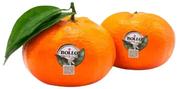 Mandarīni ''BOLLO'', ar lapām , 1.šķ., kg
