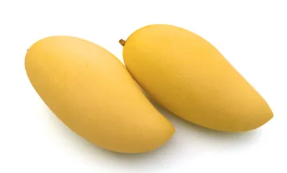 Mango, Nam Dok Mai, KG