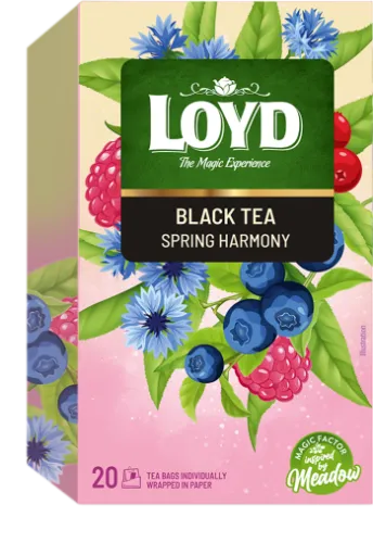 Must tee LOYD, spring harmony, 20x1,75 g, kahekambriline teekott ümbrikus