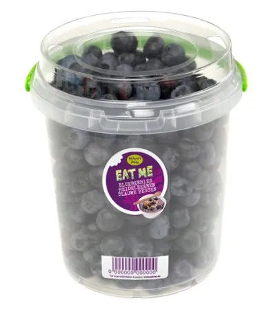 Mustikas, 500g, TK
