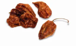NUEVO PROGRESO kuivatatud tšilli, Habanero 1kg