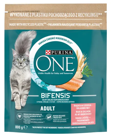 ONE kuiv kassitoit, lõhe/riis 800g