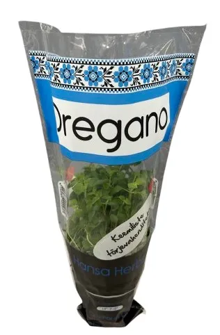 Oregano potis Hansa Herbs, TK