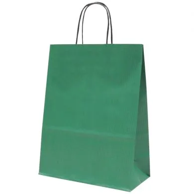Paberkott  24 x 11 x 31 cm, spiraal pabersangadega,roheline, 100g/m2