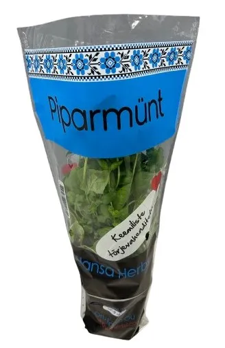Piparmünt potis Hansa Herbs, TK