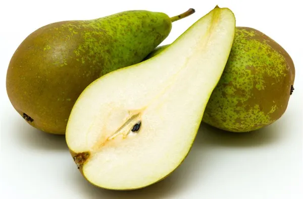 Bumbieri "Conference" lielie 65/75 kal., 2.šķ, kg