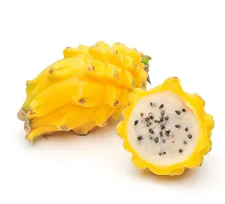 Pitahaia e. draakonivili, kollane, valge viljalihaga, KG