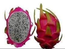 Pitahaia e. draakonivili, punane, valge viljalihaga, KG