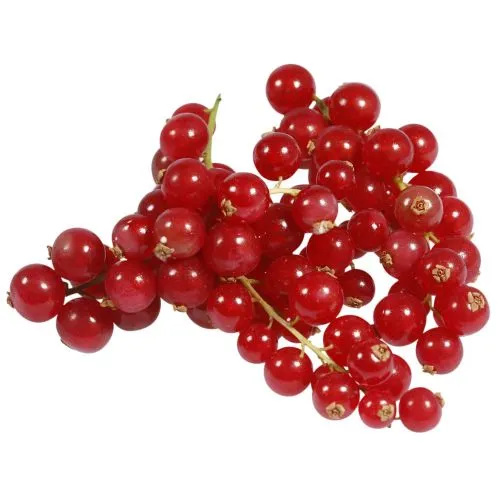 Punased sõstrad, IQF, külmutatud, 1kg