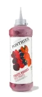 Punaste viljade kaste PONTHIER, külmutatud, lisatud suhkruga, pigistuspudelis, 500 g