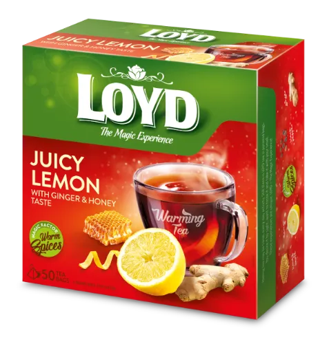 Puuviljateejook LOYD ingveri ja meemaitseline, 50x2g