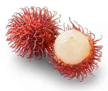 Rambutan, KG