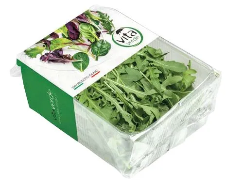 Salāti "Rucola" 100gr, 2.šk, gab