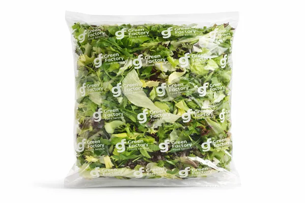 Salatisegu FIT&EASY, Fitness, 500g, TK