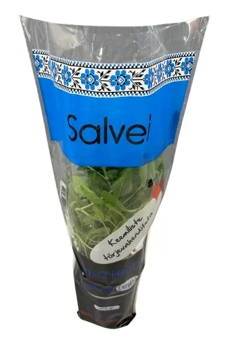 Salvei potis Hansa Herbs, TK