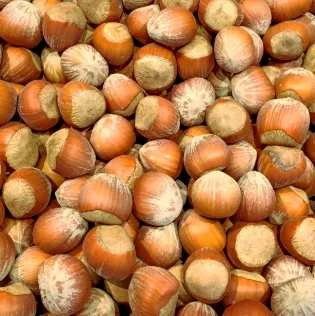 Sarapuupähklid, koorega, 5 kg D