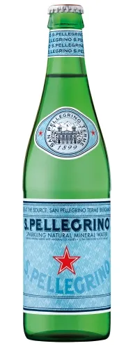S.PELLEGRINO Karboniseeritud vesi 0,5 L, klaas
